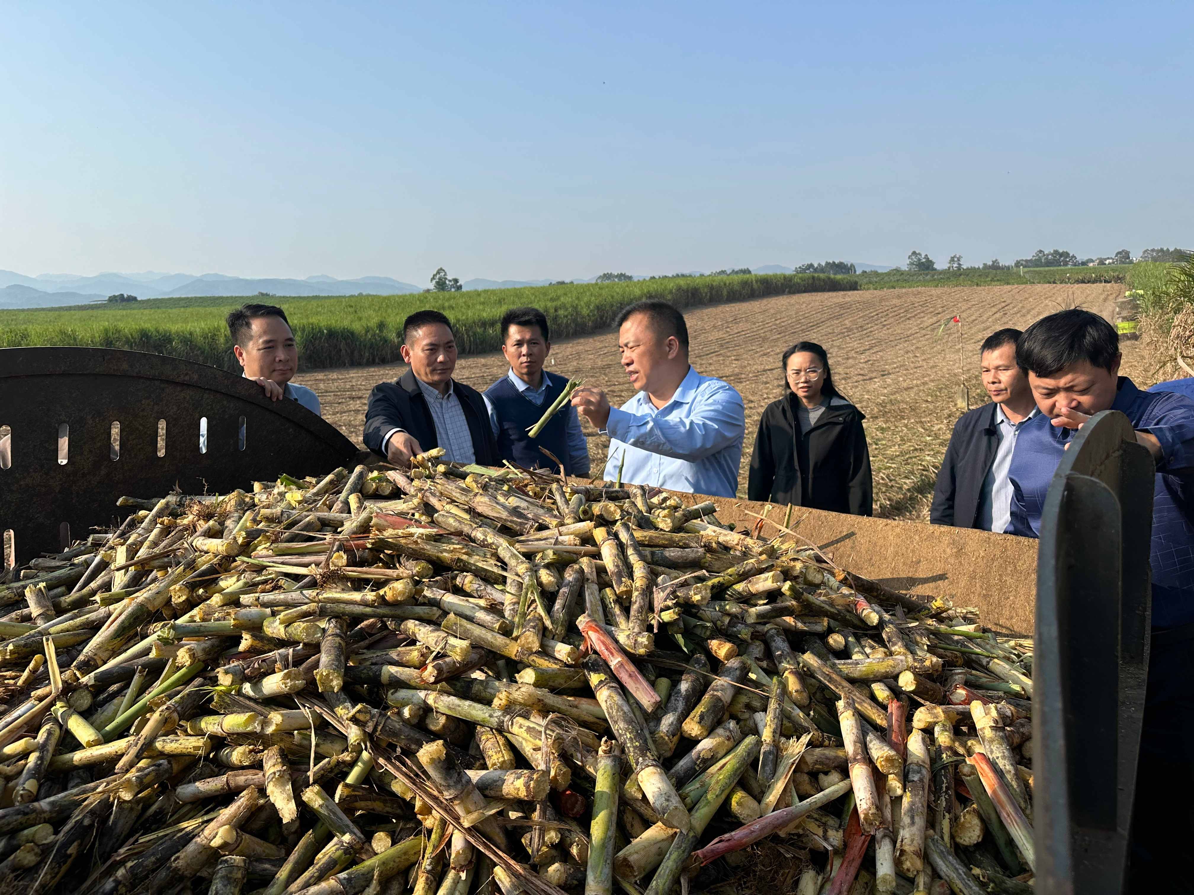 廣西國(guó)控集團(tuán)副總經(jīng)理黃永華深入金光農(nóng)場(chǎng)公司一線(xiàn)調(diào)研